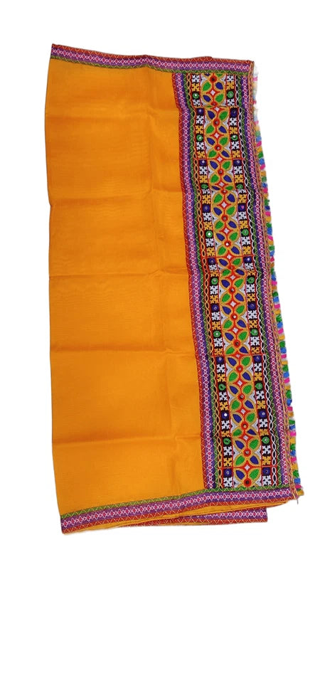 Ethnic Chaniya Choli Lehenga for Navratri | Dandiya Garba Outfit